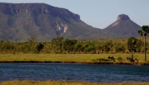 Naturatins completa 37 anos e avança com modernização na preservação e no desenvolvimento sustentável