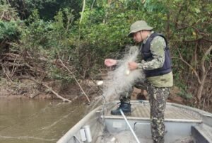Naturatins realiza ação de fiscalização e educativa na região do Bico do Papagaio